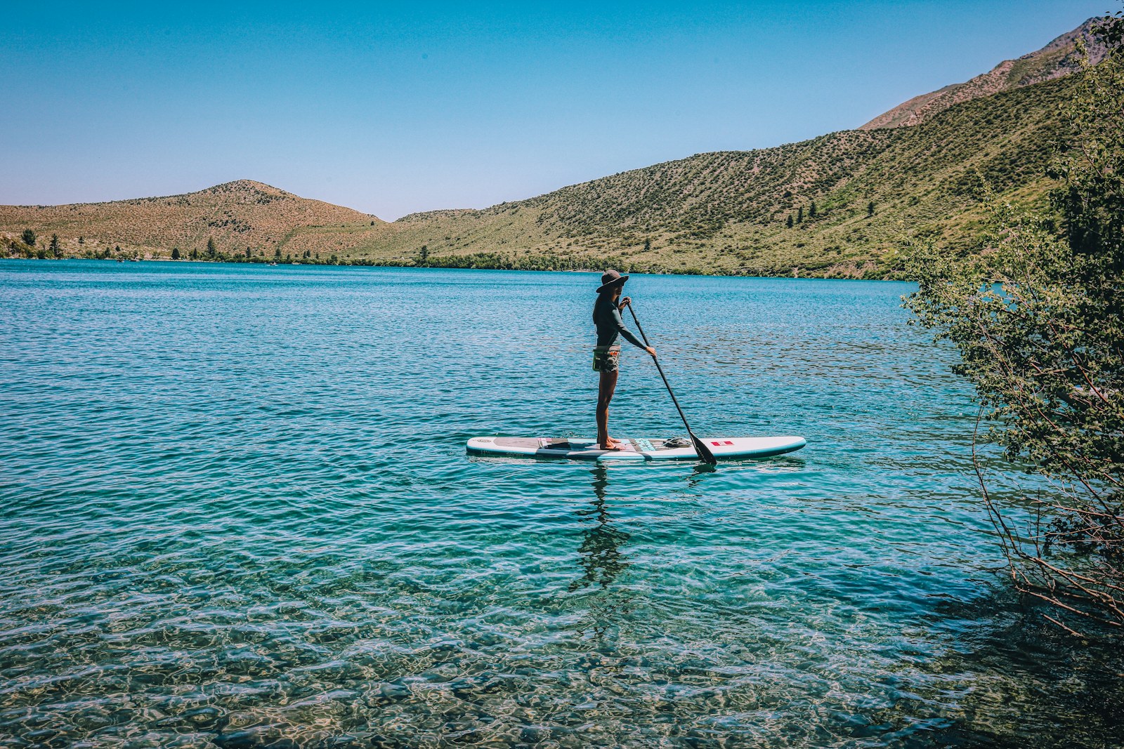 Birdwatching by Paddleboard