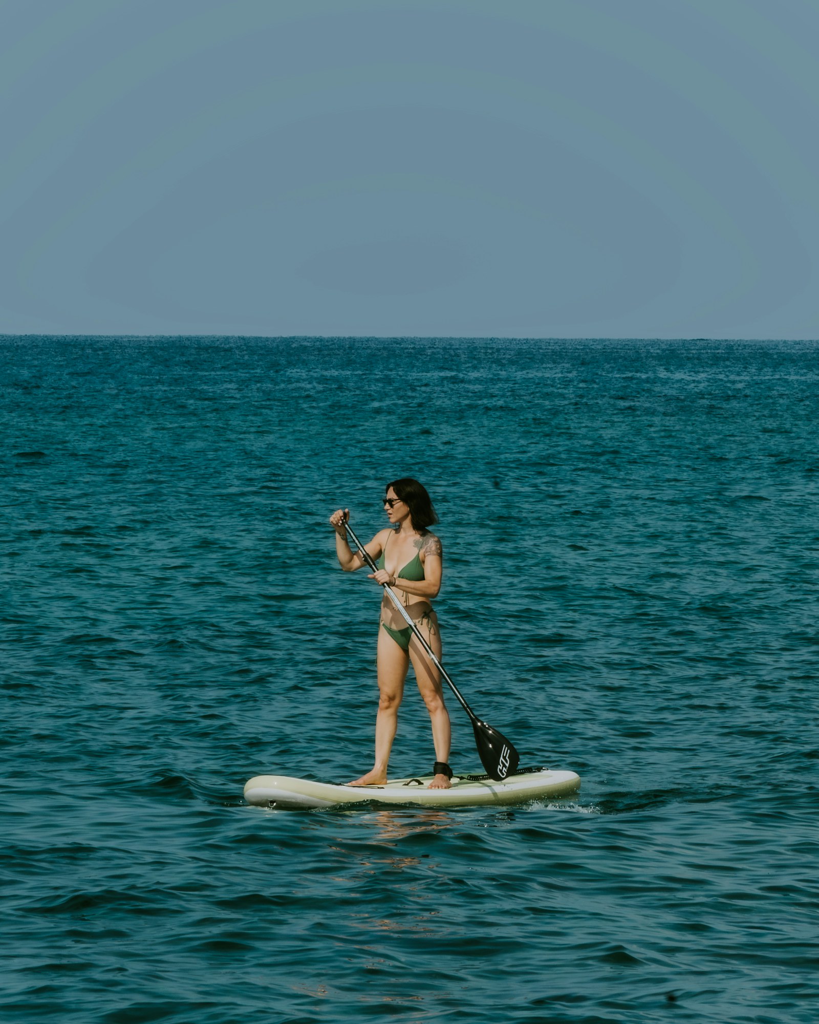 The paddle journal.