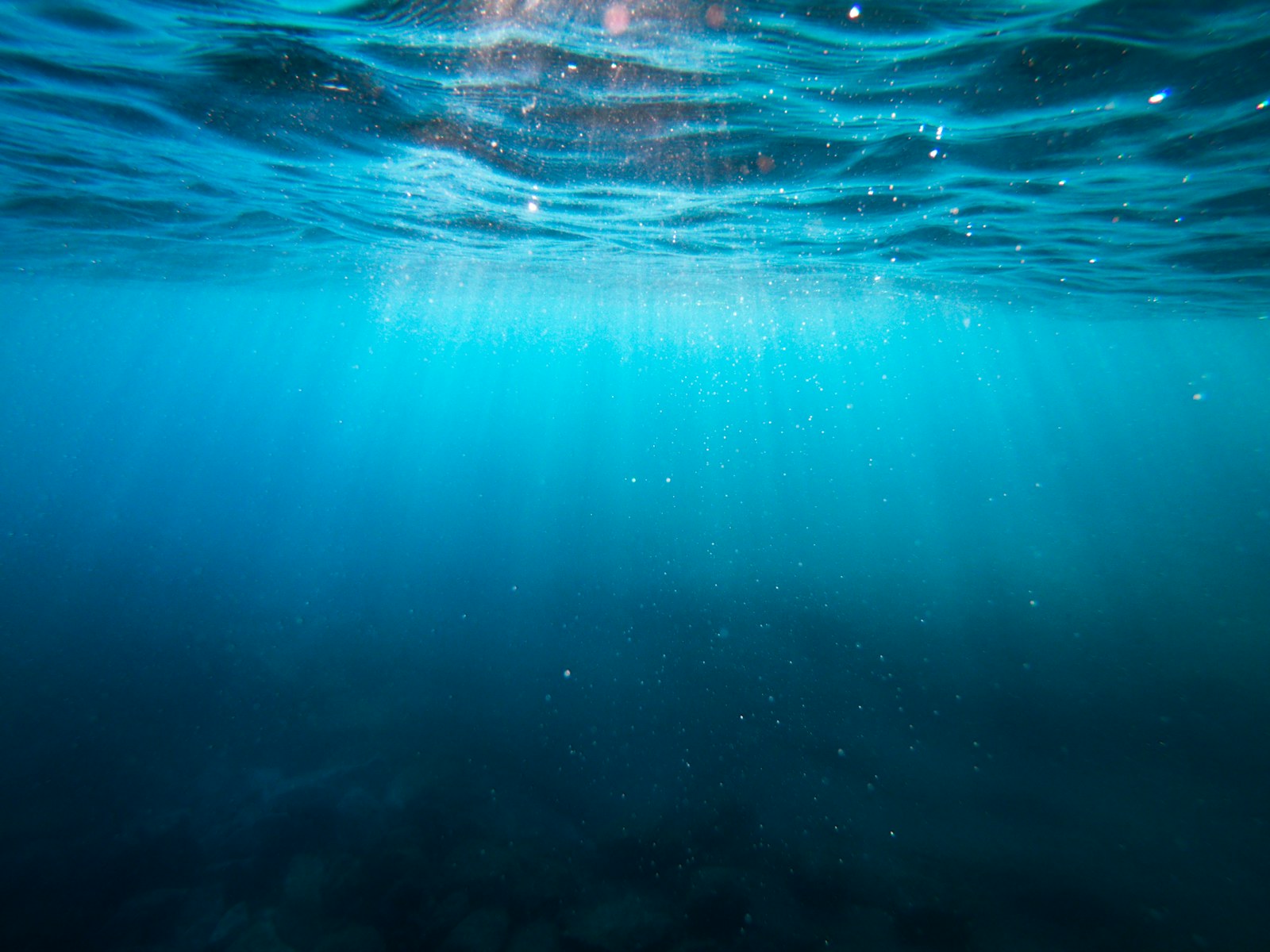 Slow Adventures on a Paddleboard on the water