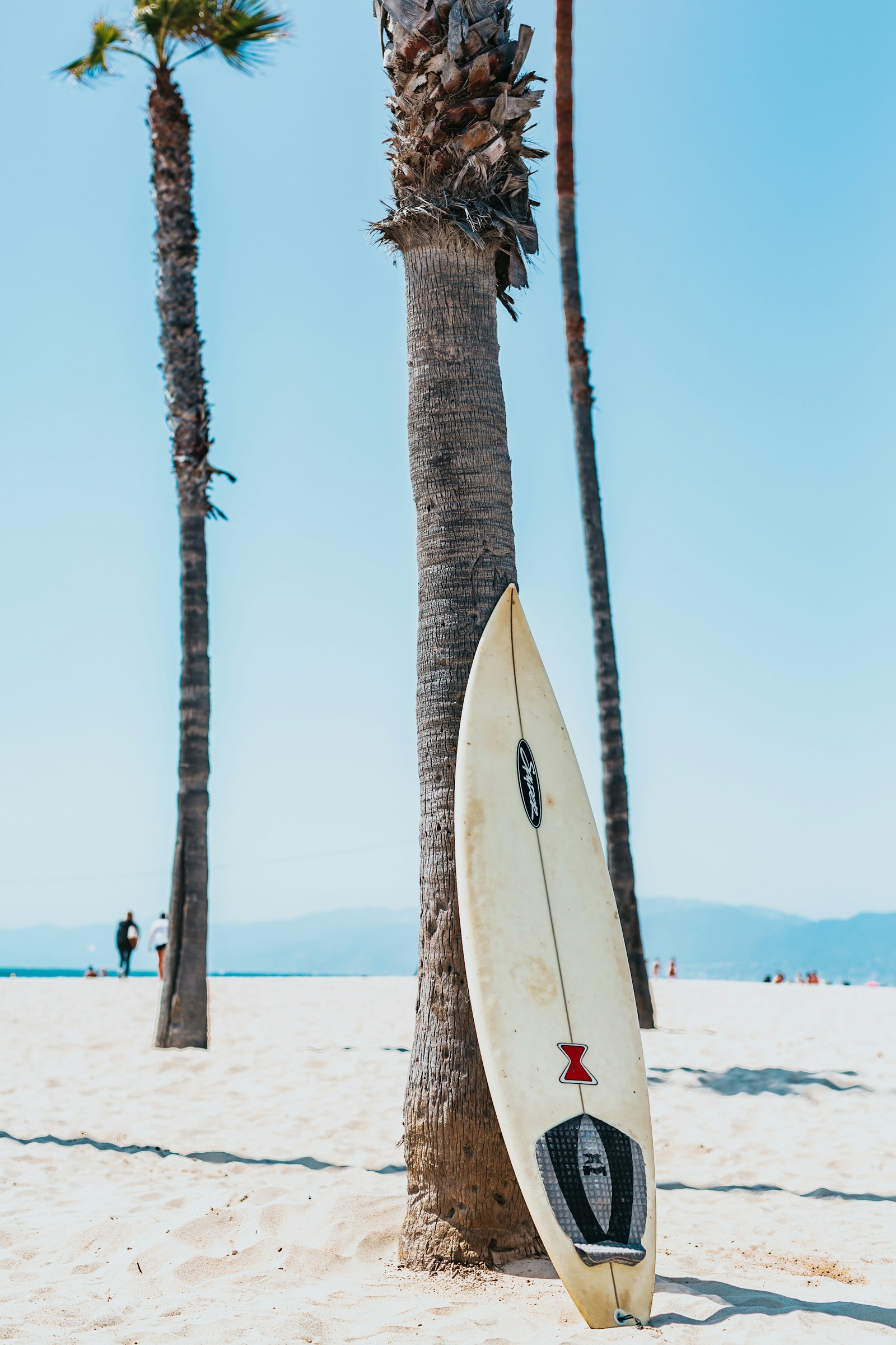 Paddleboard rentals made easy