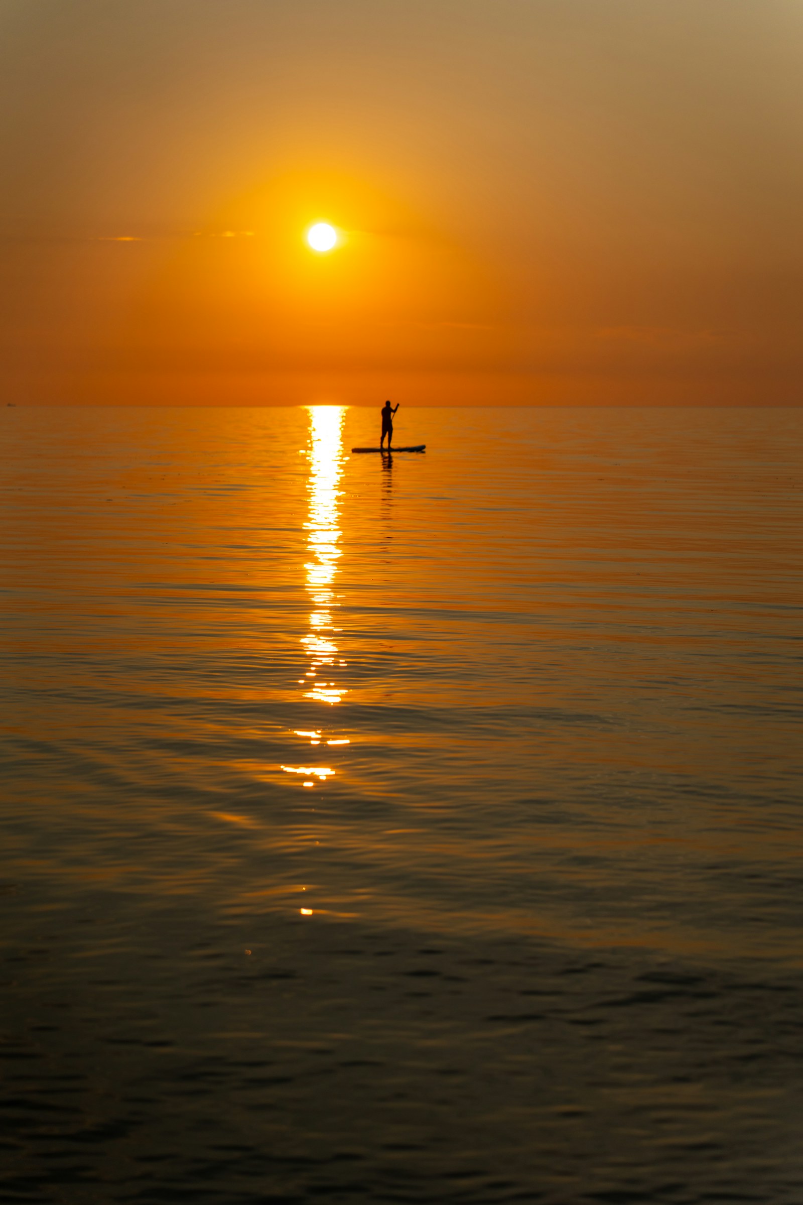 SUP Fitness Training
